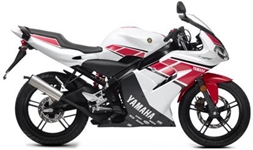 yamaha tzr